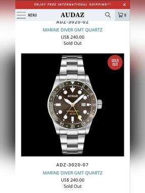 AUDAZ Silver and Brown Dive-Style Watch with Rotating Bezel